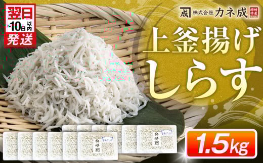 釜揚げ しらす プレミアム 約1.5kg ( 130g × 12 パック ) 小分け 　減塩 無添加 無着色 冷凍 愛知県 南知多町 ご飯 ごはん 丼 料理 シラス 国産 カネ成 人気 おすすめ シラス しらす しらすごはん shirasu sirasu SIRASU 人気シラス
