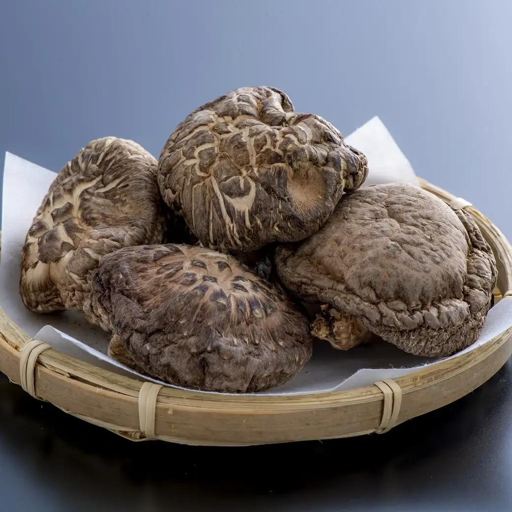 乾しシイタケ(80g×3袋)品種：ゆう次郎【大分県新ブランドうまみだけ】 | 豊後高田市 しいたけ
