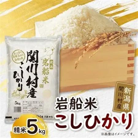 炊きたてつやつや R7年産 新潟関川村産 岩船米こしひかり 精米5kg [星山米店]【1668914】