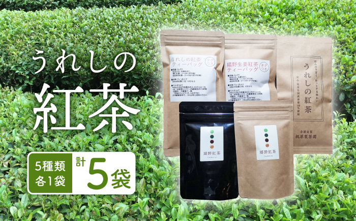 
うれしの紅茶 生産者 KJセット 【うれしの紅茶振興協議会】 NAP003
