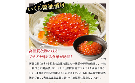 《12月1日～25日着》敦賀の豪華 海鮮福袋 10種 [024-e302(20)-a]【生ズワイポーション むきえび ホタテ 甘エビ とろろ昆布 いくら?油漬け さば開き干し 縞ほっけ開き 詰め合わせ 焼さば寿司 ねぎとろ セット 海鮮 魚介 魚 カニ かに えび エビ ほたて 帆立 甘えび イクラ サバ ホッケ  冷凍 甲羅組 人気 厳選】