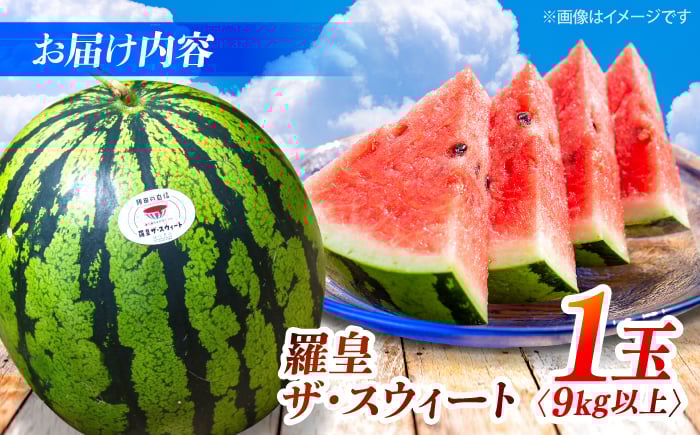 西海 大玉 スイカ
