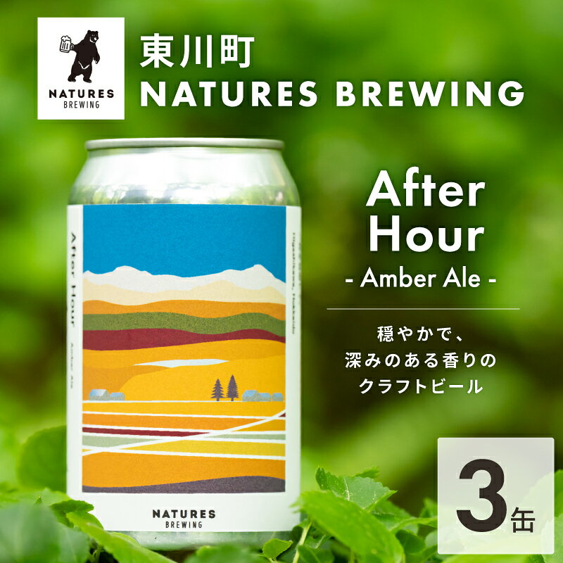 【ふるさと納税】【Natures Brewing】クラフトビール「After Hour (Amber Ale)」 3缶セット