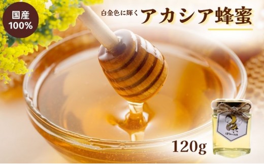 
                  【白金色に輝く】 国産 アカシア 蜂蜜 120g 無添加 無着色 非加熱 安心安全 こだわり はちみつ ハチミツ ハニー
                