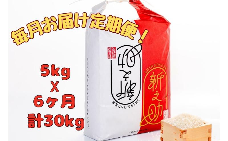 【通年受付】令和７年産【１０月発送開始！】魚沼産新之助　精米5kg　全6回 十日町市 十日町 米
