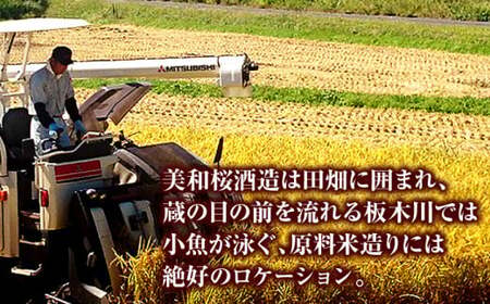 美和桜酒造の飲み比べセット 三次市/美和桜酒造[APBF006]