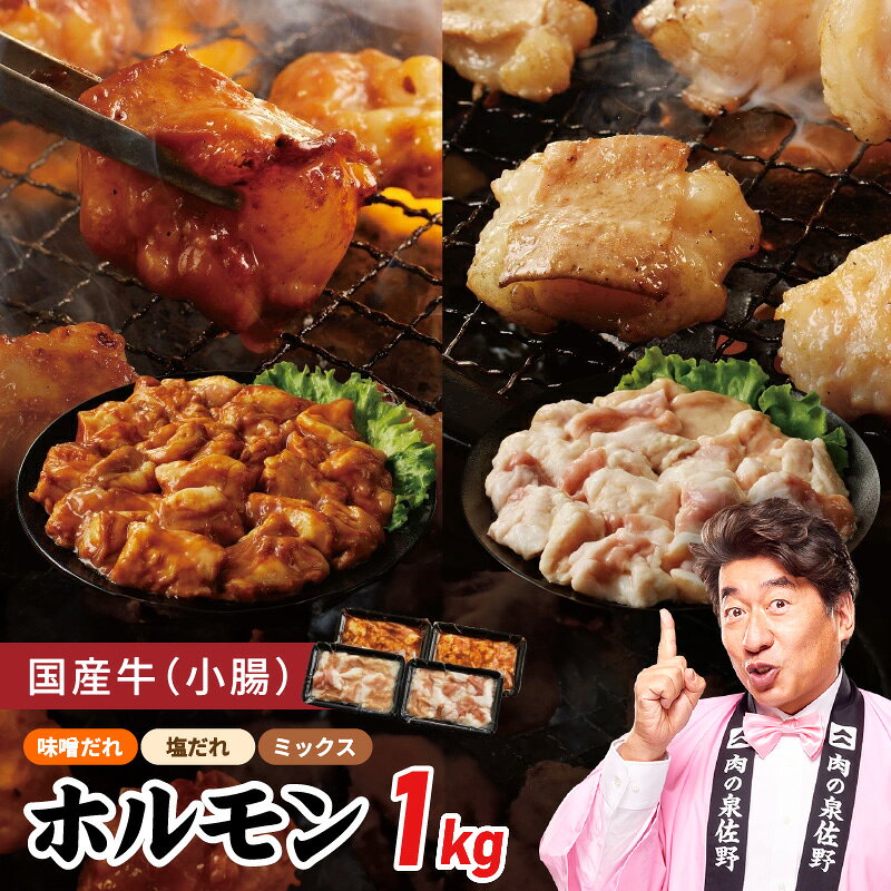【ふるさと納税】【発送月が選べる】 国産 牛肉 ホルモン 1kg 味噌だれ / 塩だれ / MIX 焼肉用 小分け ご飯のお供 バイキング左近 小腸 総重量1キロ 冷凍 焼くだけ 味付き肉 お取り寄せグルメ 年内配送 大阪府 泉佐野市 送料無料 肉の泉佐野