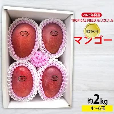2026年発送【TROPICAL FIELD モリ之ナカ】贈答用マンゴー約2kg（4～6玉） フルーツ 果物 期間限定 数量限定 先行予約 南国 プレゼント お土産 おみやげ ギフト くだもの 沖縄 