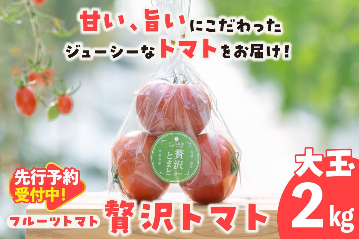 
            【先行予約】【2025年12月頃から順次発送】フルーツトマト　贅沢トマト2kg　よこた農園　大玉 贅沢トマト 野菜 トマト 新鮮野菜 太陽の恵み 大玉トマトトマト料理 愛知県産 フルーツとまと 甘いトマト お取り寄せ グルメ 常滑市
          