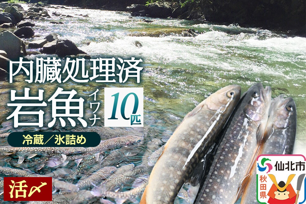 岩魚（イワナ）活け〆 内臓処理済み 氷詰め 10匹 長四郎|02_csr-010301