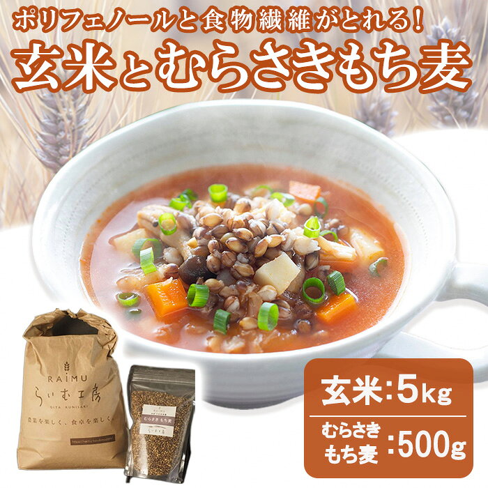 【ふるさと納税】玄米(5kg)＆むらさきもち麦(500g)常温 もち麦 紫もち麦 玄米 食物繊維 大麦 国産 【opas004】【らいむ工房】