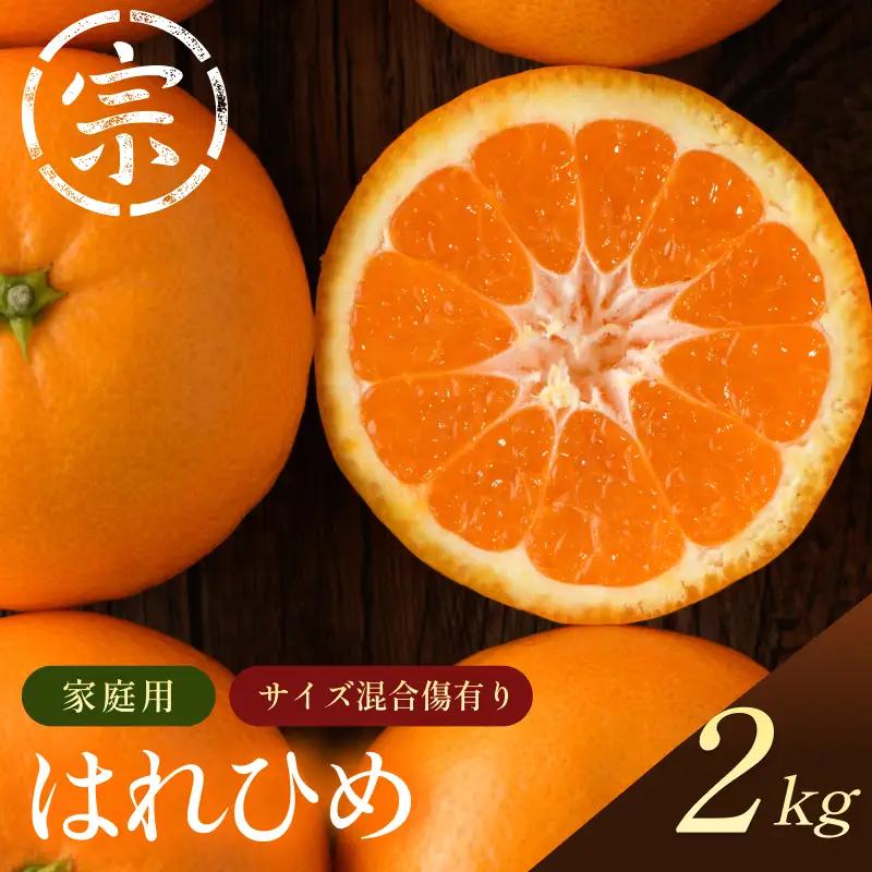 【先行予約】宗方印 はれひめ（家庭用）約2kg