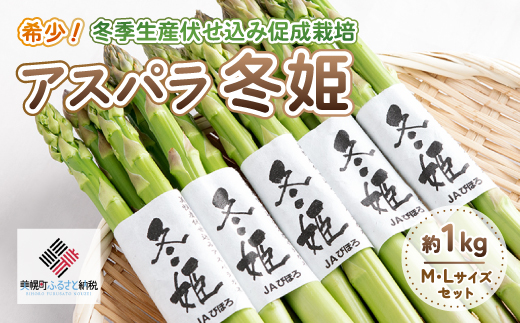 希少!冬期生産伏せ込み促成栽培アスパラ「冬姫」M～L　約1kg【配送不可地域：離島】（2025年11月中旬より順次発送） BHRG070