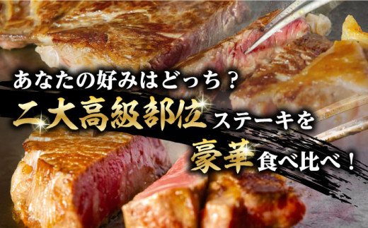 【全3回定期便】サーロイン と ヒレ ステーキ 計700g （各4枚）【野中精肉店】 [VF66] 肉 牛肉 赤身 焼肉 定期便