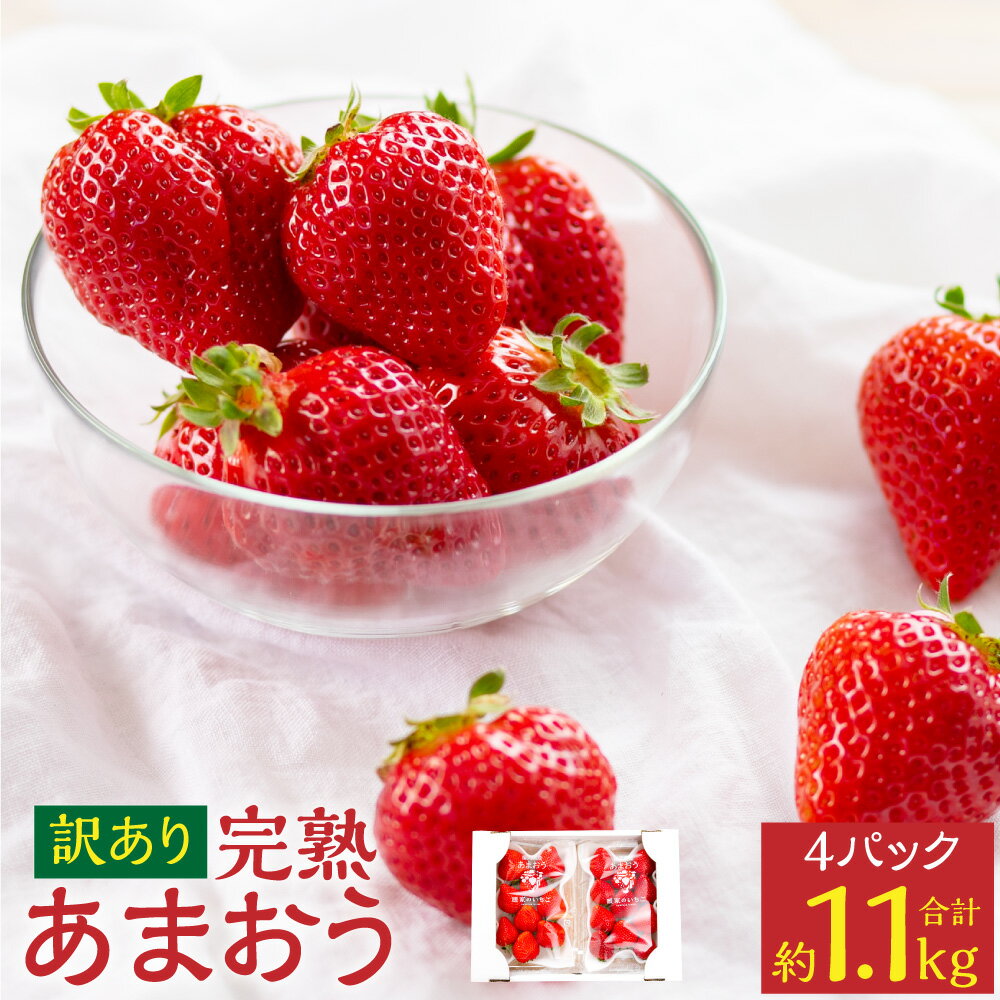 【ふるさと納税】 訳あり 完熟 あまおう 4パック 約1.1kg いちご イチゴ 苺 フルーツ 果物 不揃い ふぞろい 訳あり くだもの 先行予約 福岡県 苅田町 送料無料 【2026年2月上旬-3月上旬発送予定】