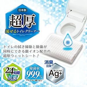 ＧＮ超厚流せるトイレクリーナー大判（１２枚×２パック）×40袋