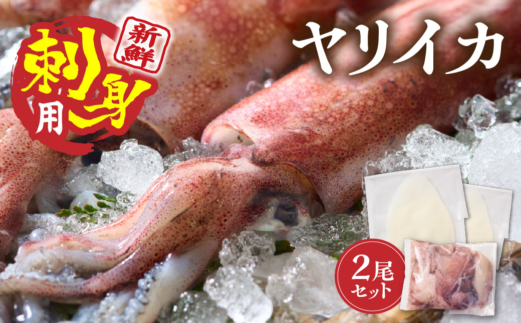 刺身用 新鮮ヤリイカ2杯セット(宗像鐘崎産)【マルケイ水産】_AS0416-00