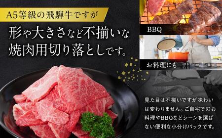 A5等級 飛騨牛 プレミアム 焼肉 切り落とし 600g | 牛肉 黒毛和牛 BBQ 肉料理 ブランド牛 訳あり 不揃い 株式会社岩ト屋 HF042【飛騨牛 牛肉 和牛 飛騨牛 牛肉 和牛 飛騨牛 牛