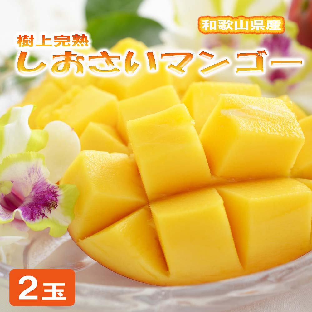 【ふるさと納税】和歌山県産 樹上完熟しおさいマンゴー(2玉入り)※2025年7月下旬～2025年8月下旬頃に順次発送