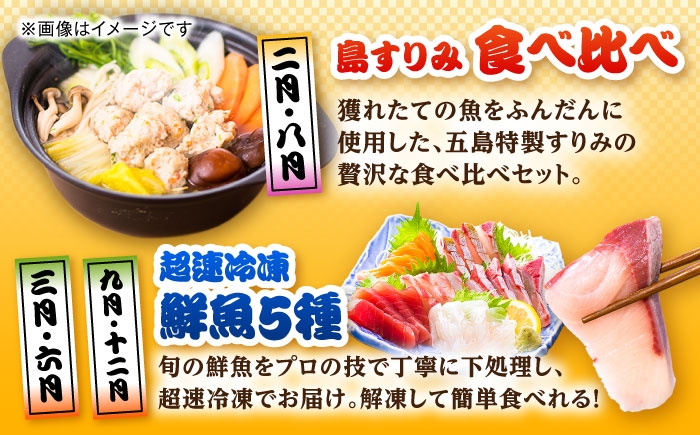 魚 海鮮 魚介類 お魚 五島 ごとう 五島市 長崎県 長崎 定期便 国産 九州 厳選 旬 特産品 20万