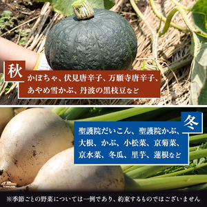 【定期便4回】＜京野菜の京都やおよし＞丹波野菜詰め合わせセット《栽培期間中