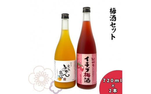 ▼紀州 完熟みかん梅酒・イチゴ梅酒セット 720ml×2本 【sta705-ks-mkichi】