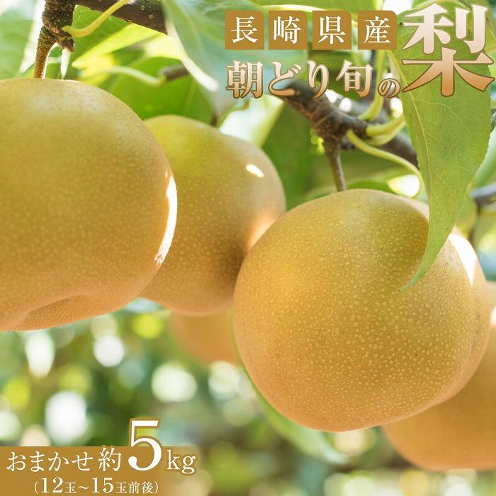 【ふるさと納税】【先行予約】長崎県産 朝どり 旬の梨 おまかせ 約5kg（12玉～15玉前後） | フルーツ 果物 くだもの 食品 人気 おすすめ 送料無料