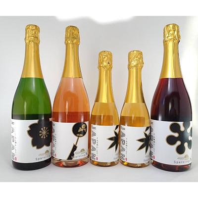 ふるさと納税 長野県 スパークリングワイン四季ラベル　5本セット
