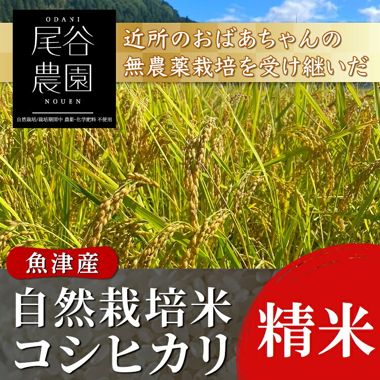 【ふるさと納税】＼選べる内容量・配送回数／【早期予約】【令和8年度産米】尾谷農園 自然栽培米コシヒカリ 精米 ※2026年10月～発送