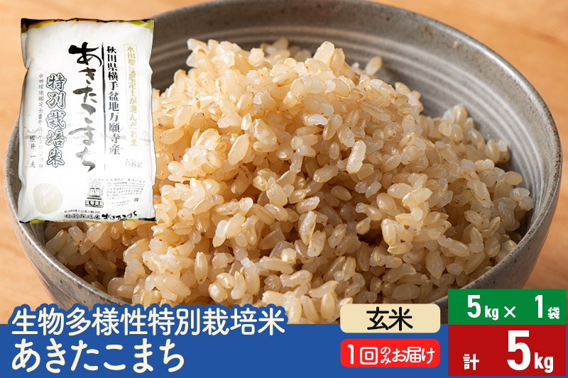 
            【玄米】令和6年産 生物多様性特別栽培米あきたこまち 5kg（5kg×1袋）
          