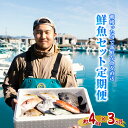 【ふるさと納税】 定期便全3回 産地直送！ 海陽町より旬の魚をお届け！ 鮮魚セット 中セット 約4kg×3ヶ月連続 鮮魚 詰め合わせ 鮮魚BOX 朝どれ 朝獲れ