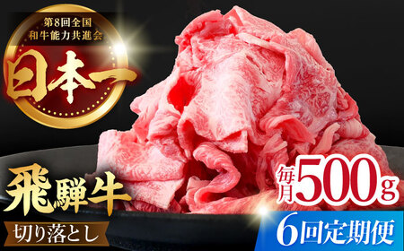  【6回定期便】【飛騨牛】切り落とし 総計3kg 〈1回あたり〉500g (250g×2) [TDC011]すき焼き