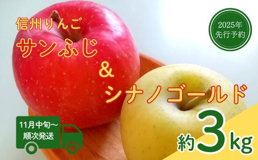 【2025年先行予約】りんご シナノゴールド(長野県オリジナル品種) サンふじ セット 計約3kg 詰合せ 食べ比べ 林檎 りんご 長野県 千曲市 信州