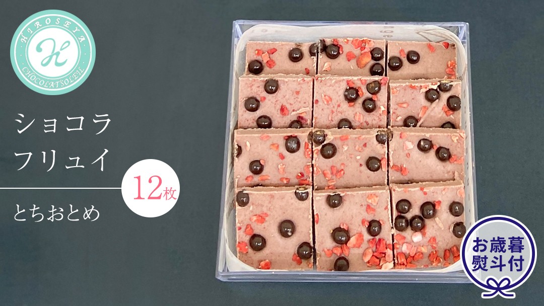 
【 お歳暮 熨斗 付】 ショコラフリュイ とちおとめ 12枚 チョコレート チョコ スイーツ デザート 高級 ギフト 贈り物 お礼 プレゼント 手土産 お菓子
