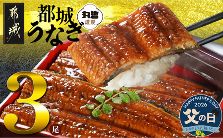 【父の日】宮崎県育ちのうなぎ蒲焼3尾500g以上≪山椒・たれ付≫≪6月18日～21日お届け≫_AC-M301-FG_(都城市) うなぎ蒲焼(有頭) 宮崎県産 真空 山椒・たれ付 父の日 ギフト