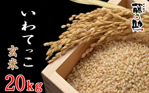 【2024年11月発送開始】 令和6年産 新米 岩手県産 いわてっこ 玄米 20kg ／  十一代目藤助 米 産地直送 農家直送