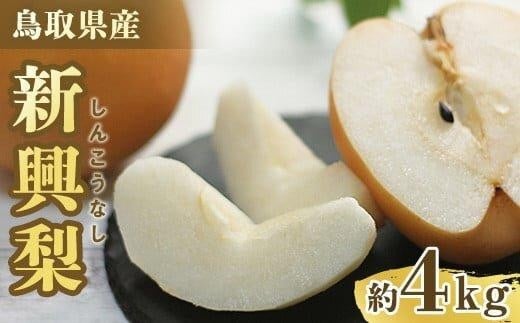 【先行予約】新興梨 秀 約4Kg（4～16玉前後) ※10月～11月下旬頃に順次発送予定 梨 なし 果物 フルーツ くだもの 鳥取県 北栄町 おすすめ 人気 送料無料】