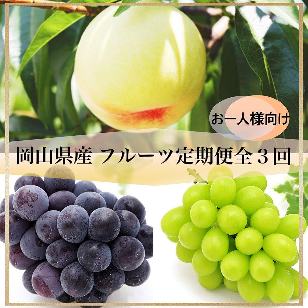 【ふるさと納税】【全3回定期便】岡山県産 フルーツ定期便 ＜お一人様向け＞ 岡山白桃 ニューピオーネ シャインマスカット 晴王 化粧箱入り もも モモ 桃 ぶどう ブドウ 葡萄 フルーツ くだもの 果物 果実 デザート 冷蔵 国産 送料無料 【2026年7月上旬～9月下旬迄発送予定】
