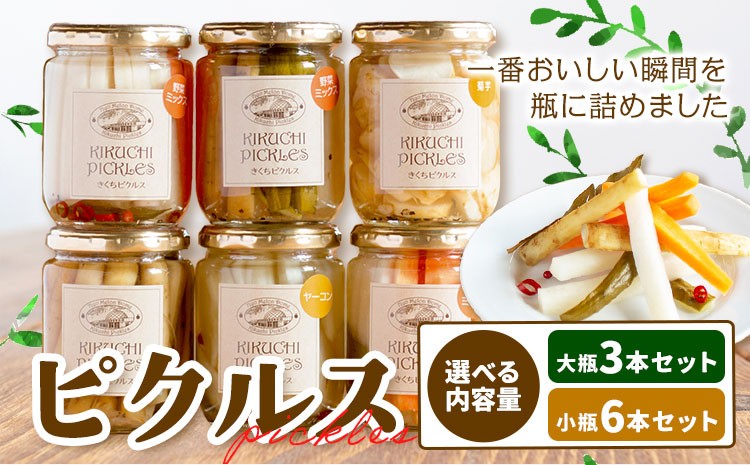 
                  ピクルス 選べる 大瓶 3本セット 小瓶 6本セット 【メロンドーム】 約260g×3本 ピクルス 野菜 酢漬け 漬物 おつまみ 旬の野菜 《30日以内に出荷予定(土日祝除く)》
                