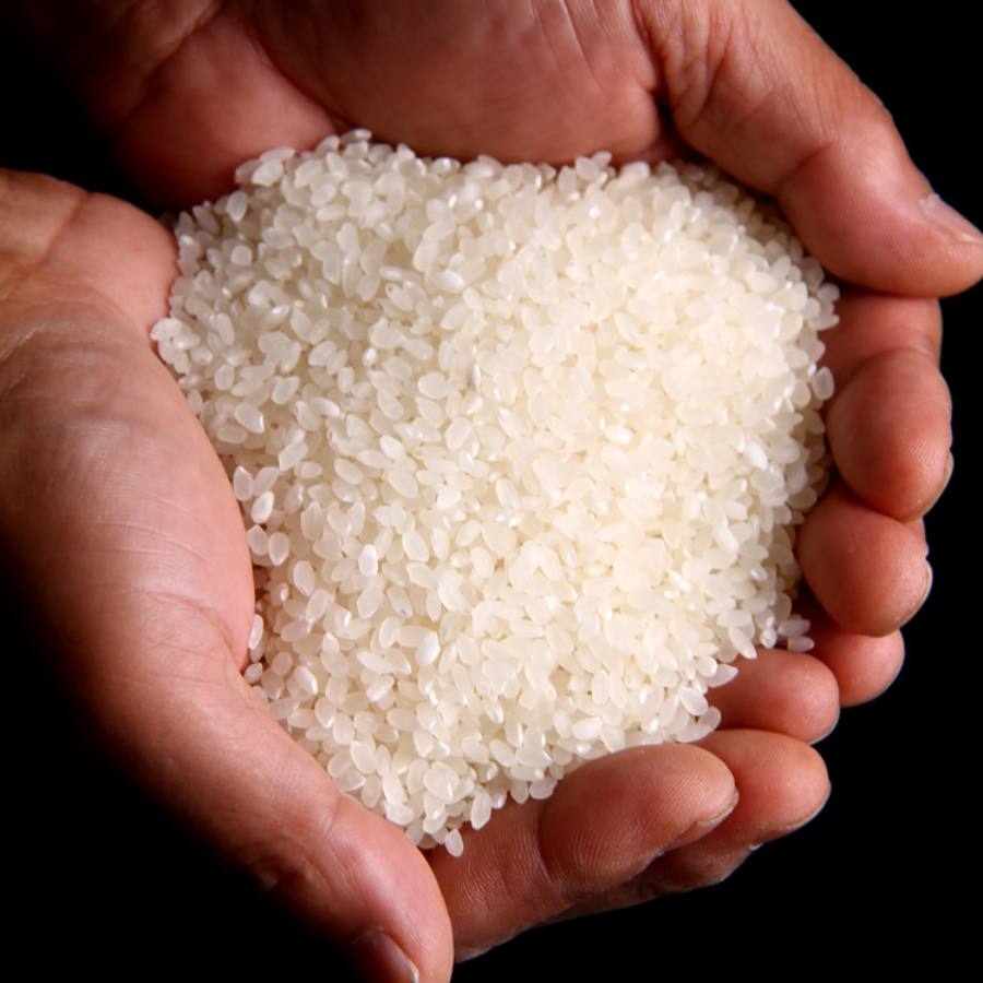 【令和6年産新米】＜丹後岩木ファーム＞京都丹後産特別栽培米コシヒカリ5kg×1袋
