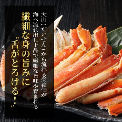 【11月中旬以降順次発送】ボイル松葉ガニ(300～400gを2枚)　OM-16-1【配送不可地域：離島・北海道・沖縄県・東北・信越、北陸】
