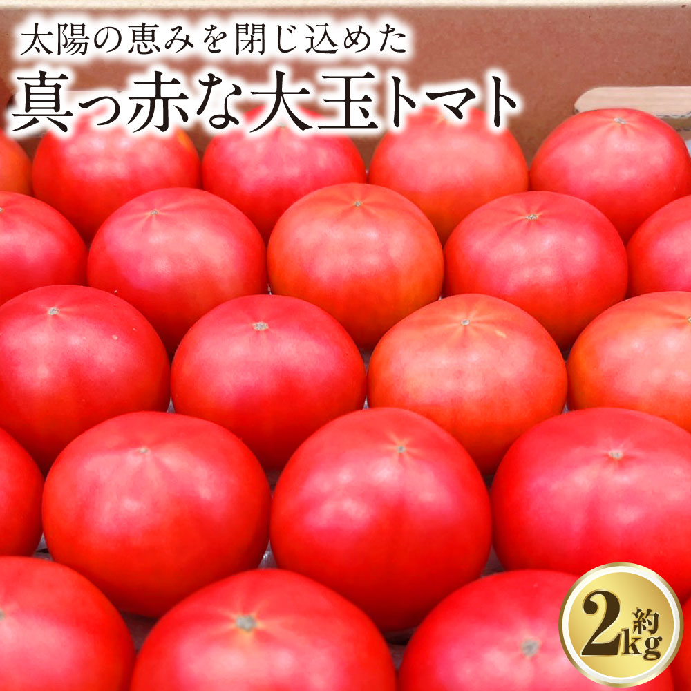 【ふるさと納税】太陽の恵みを閉じ込めた真っ赤な大玉トマト 2kg (熊本県産) 【2026年1月下旬発送開始】 トマト とまと 野菜 やさい リコピン 食品 九州 熊本県 熊本 常温 送料無料