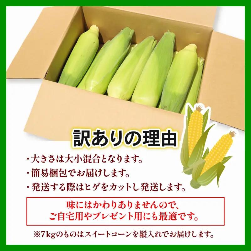 【先行予約】訳あり スイートコーン ゴールドラッシュ 5本 朝採れ コーン HY014