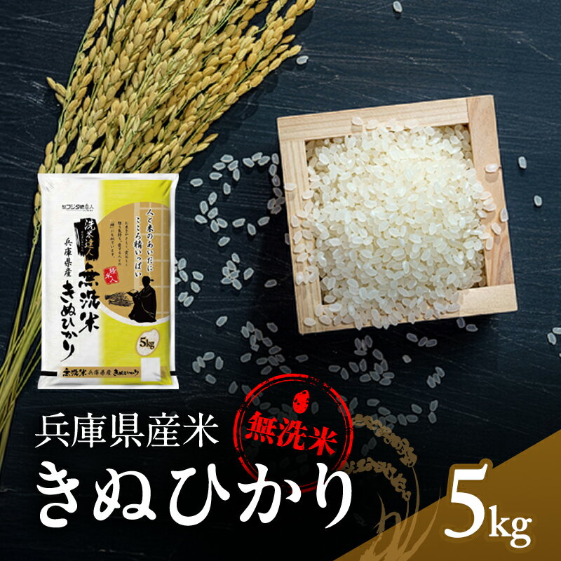 【ふるさと納税】無洗米 キヌヒカリ 5kg 米 お米 精米 白米 銘柄米 ブランド米 5キロ 産地直送 兵庫県産 兵庫 兵庫県 小野市