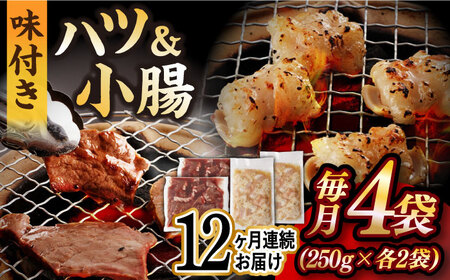 【12回定期便】【塩だれ】九州産和牛ホルモン 2種 計1kg（ハツ250g×2袋・小腸250g×2袋） [EAX141] 定期便 ホルモン食べ比べ 食べ比べホルモン ﾎﾙﾓﾝ食べ比べ 食べ比べﾎﾙﾓﾝ 2種 ホルモン 国産 食べ比べ 定期便