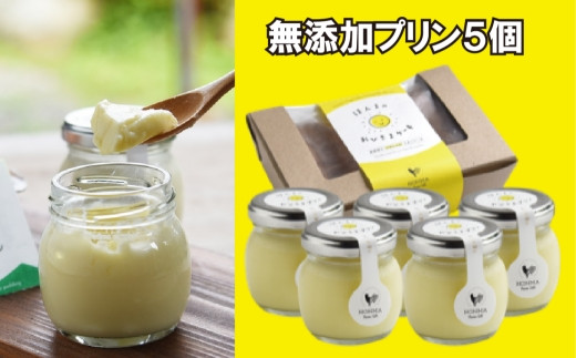 
            本間農園 無添加プリン（5個）
          