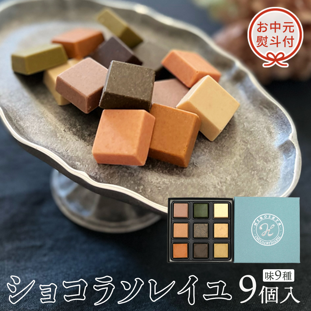 【 お中元 熨斗付 】 ショコラソレイユ 9種 チョコレート チョコ スイーツ デザート 高級 ギフト 贈り物 お礼 プレゼント 手土産 お菓子 [DJ08-NT]