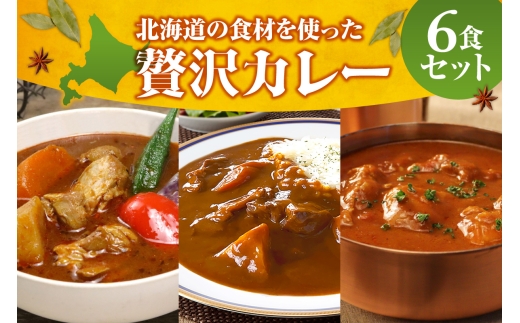 北海道の食材を使った贅沢カレー6食セット ｜ ビーフカレー スープカレー バターチキンカレー 食べ比べ 惣菜 セット レンチン 簡単 北海道 札幌市