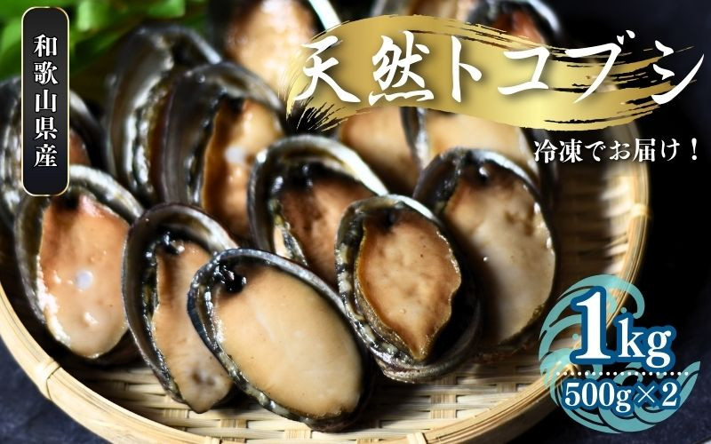 
＼数量限定／【和歌山県産】 天然トコブシ 1kg (瞬間冷凍) ／ながれこ とこぶし 冷凍 貝 おかず お手軽調理 バーベキュー 国産 瞬間冷凍
