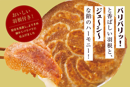 大阪王将 羽根つき餃子堪能セット(4種アソート)計12袋